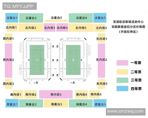 杭州羽毛球队个人能力分析与联赛表现评估